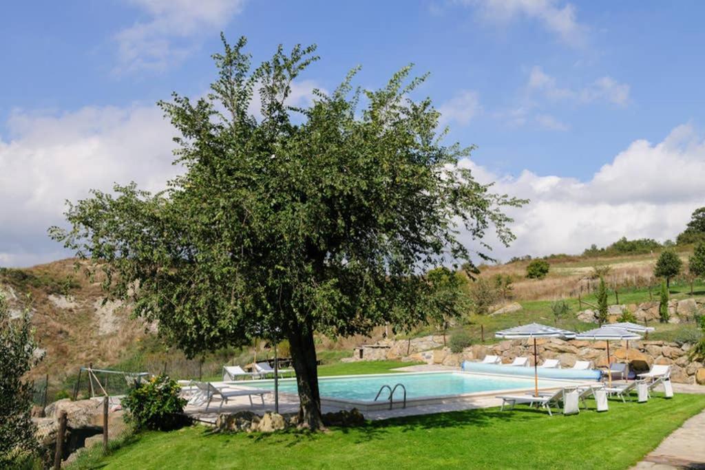 Girasole Cottage Overlooking The Orcia Valley In Tuscany Radicofani Eksteriør bilde